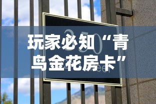 玩家必知“青鸟金花房卡”详细介绍房卡使用方式
