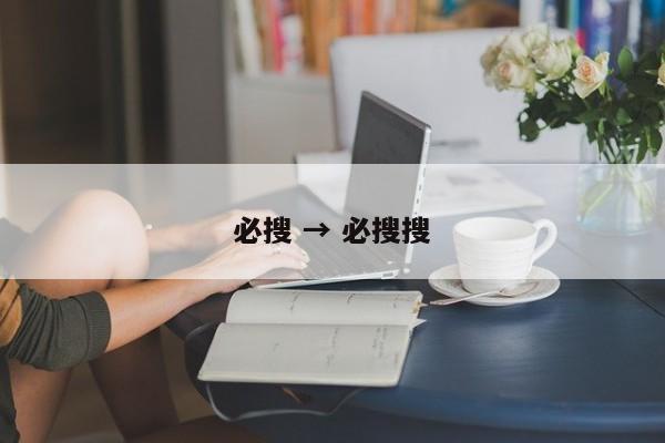 必搜 → 必搜搜