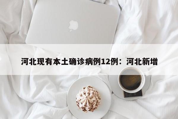 河北现有本土确诊病例12例：河北新增