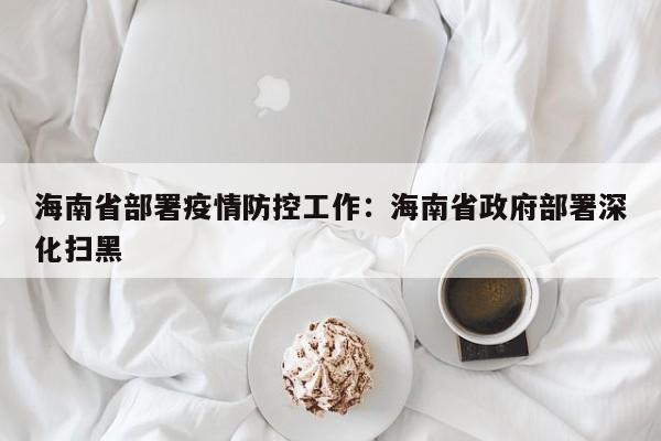 海南省部署疫情防控工作：海南省政府部署深化扫黑