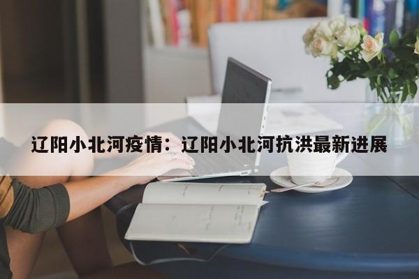 辽阳小北河疫情：辽阳小北河抗洪最新进展