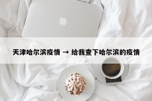 天津哈尔滨疫情 → 给我查下哈尔滨的疫情