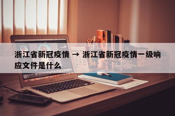 浙江省新冠疫情 → 浙江省新冠疫情一级响应文件是什么
