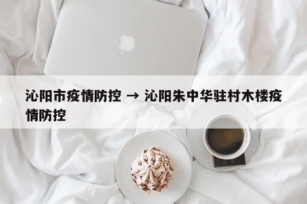 沁阳市疫情防控 → 沁阳朱中华驻村木楼疫情防控