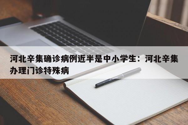 河北辛集确诊病例近半是中小学生：河北辛集办理门诊特殊病