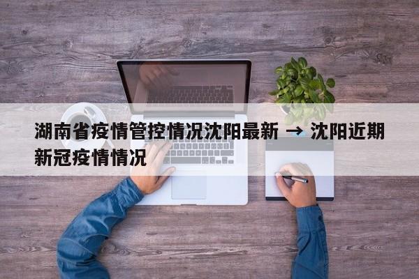 湖南省疫情管控情况沈阳最新 → 沈阳近期新冠疫情情况