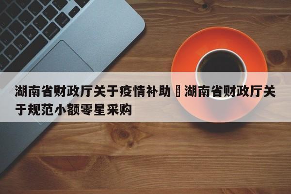 湖南省财政厅关于疫情补助›湖南省财政厅关于规范小额零星采购