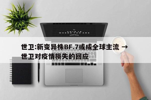 世卫:新变异株BF.7或成全球主流 → 世卫对疫情损失的回应