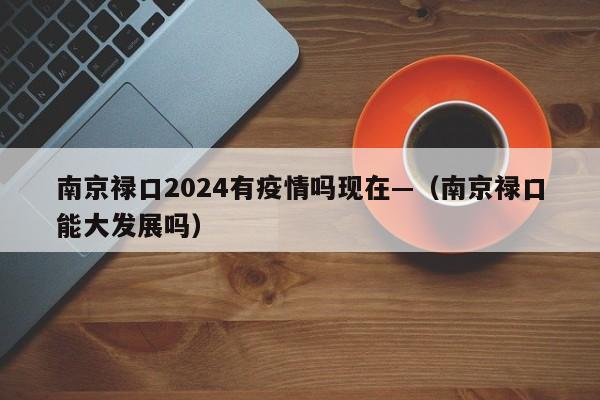 南京禄口2024有疫情吗现在—（南京禄口能大发展吗）