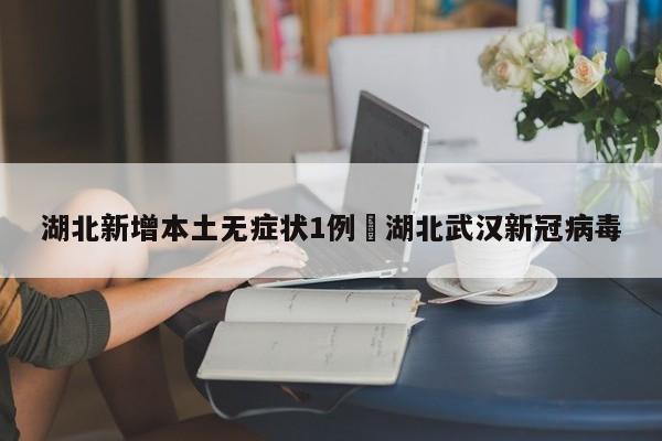 湖北新增本土无症状1例›湖北武汉新冠病毒