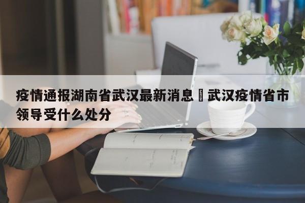 疫情通报湖南省武汉最新消息›武汉疫情省市领导受什么处分