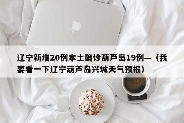 辽宁新增20例本土确诊葫芦岛19例—（我要看一下辽宁葫芦岛兴城天气预报）