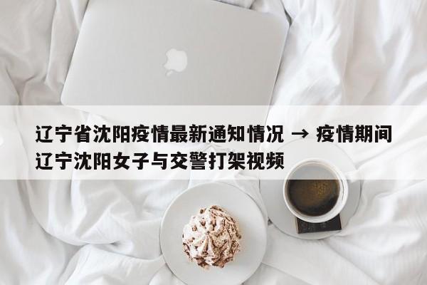 辽宁省沈阳疫情最新通知情况 → 疫情期间辽宁沈阳女子与交警打架视频