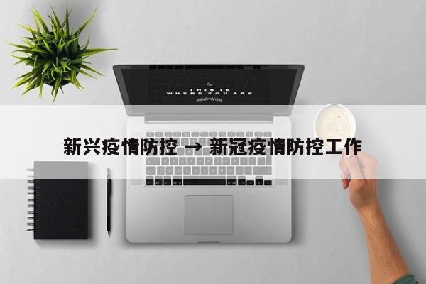 新兴疫情防控 → 新冠疫情防控工作