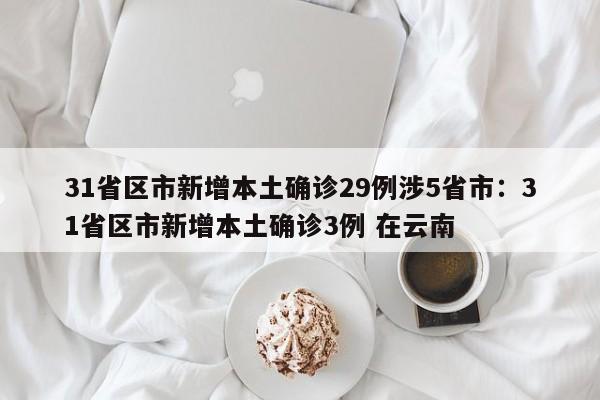 31省区市新增本土确诊29例涉5省市：31省区市新增本土确诊3例 在云南